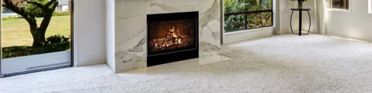 how to protect carpet feature image