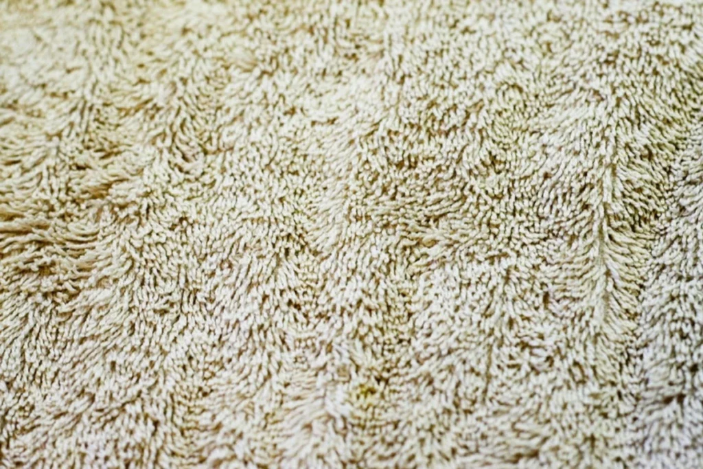 shag carpet