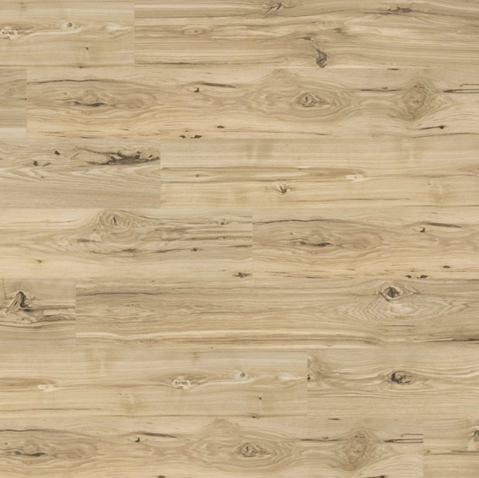 Sandalwood Spice Pecan from Harmony Haven