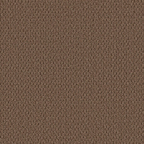 Perfect Home Carpet - Behind the Sun in Grounded